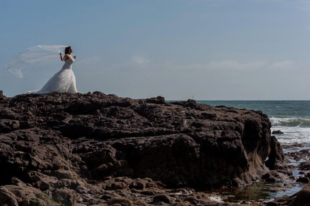garden geometry — pathways, plantings, and architectural elements compose the ceremony backdrop | tropical-inspired plantings give the camera unusual texture against Baja's dry regional environment | interior or sheltered areas provide alternative environments for ceremony or reception