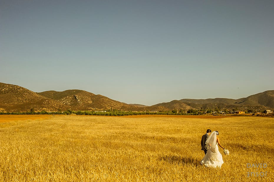 Parque La Joya Valle de Guadalupe: Enchanting Vineyard Weddings & Photography