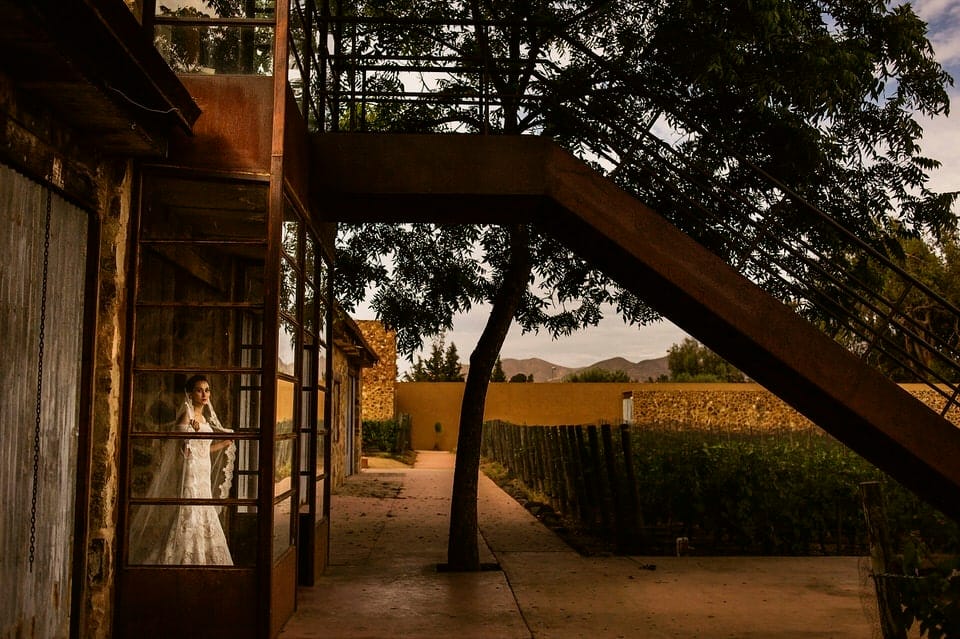 Bride in wedding dress walking through Casa de Piedra vineyard rows at golden hour