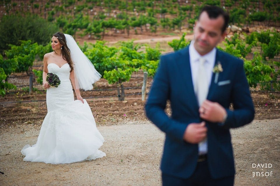 morning — quiet indirect light for getting-ready frames if preparation happens on or near property | ceremony — verify policies and exact location with the venue; outdoor vine-bordered settings are typical | couple portraits at golden hour — vine geometry combined with the rolling Valle de Guadalupe landscape