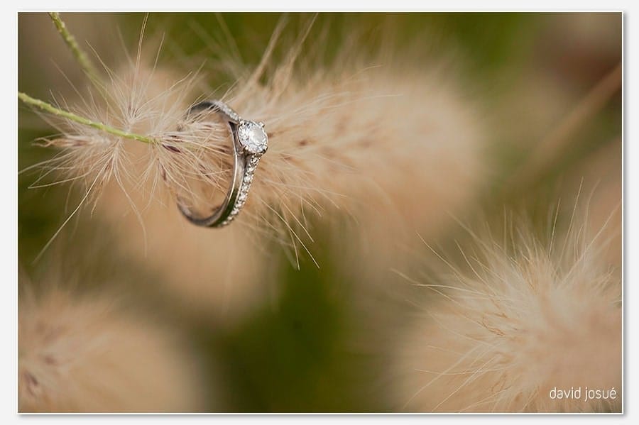 a save-the-date session documents the engagement year — two people, one location, one working hour | the photograph reads chemistry and gesture between two bodies in a chosen setting | the camera works the location's natural light rather than a styled studio setup
