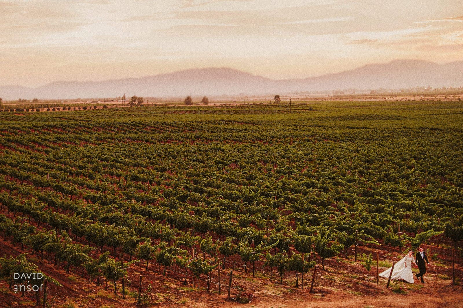 Maglen Resort — wedding venue in Valle de Guadalupe wine country | the property combines resort lodging with event space and vineyard surroundings | couples search 'maglen resort wedding' when planning a multi-day Valle celebration