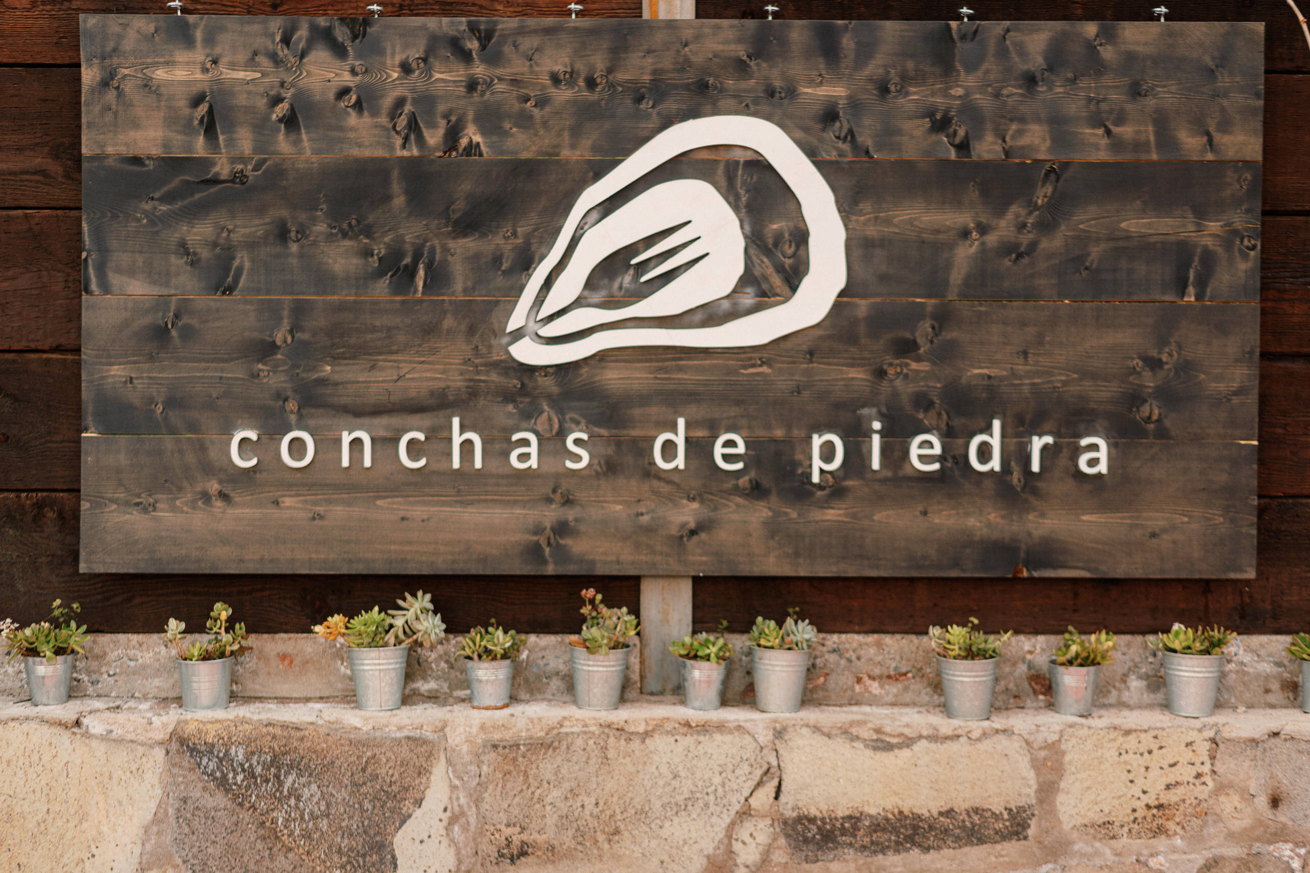 Reading of vows at Casa de Piedra, leap day 2020