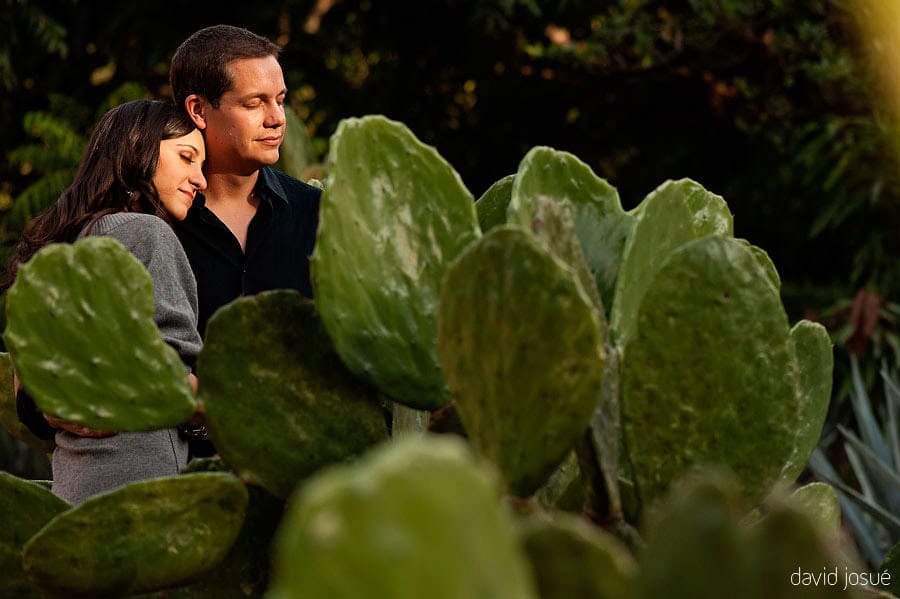 Tequila is a colonial town in Jalisco surrounded by blue agave fields — a UNESCO landscape | an engagement session here pairs the agave fields with the town's colonial architecture | couples search for these sessions when planning to ground the archive in a culturally rich Mexican landscape