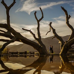 vine geometry — receding lines that frame two bodies cleanly in any wide composition | rolling landscape — the horizon line does compositional work in every wide frame | warm afternoon light during the working hour, especially against the dry hills