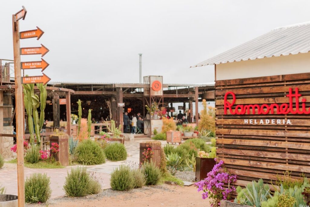 Finca Altozano is a working winery and restaurant in Valle de Guadalupe wine country | the post-wedding brunch photographs differently from the wedding day — calmer, slower, more conversational | couples search 'finca altozano wine' when planning the day-after gathering at the property
