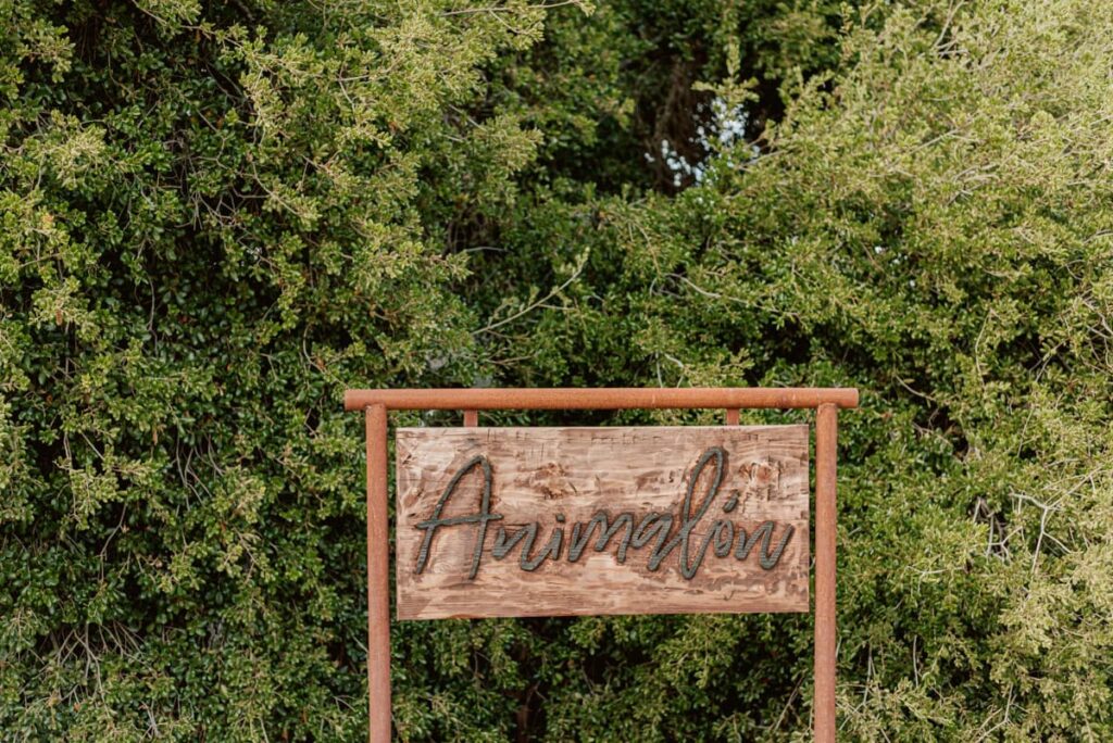 morning light in the vine-bordered outdoor restaurant reads quiet and warm | guests in casual attire — the photograph carries the relaxation of the day after | long-table service with the rolling Valle de Guadalupe landscape behind
