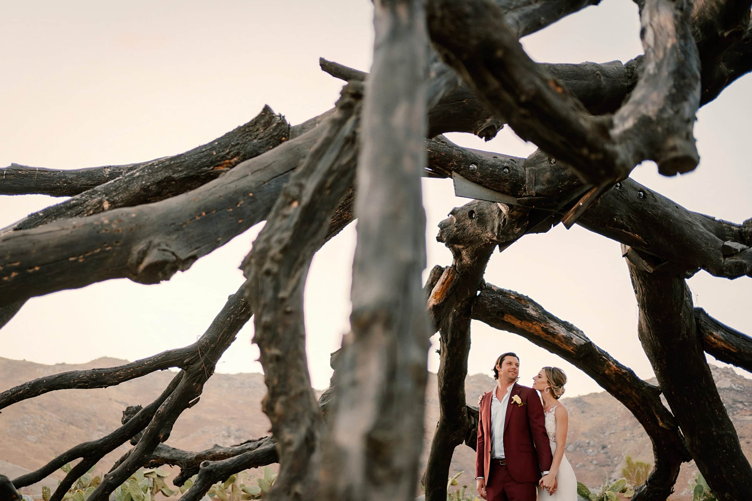 Couple alone on a fallen tree in the Valle de Guadalupe landscape — elopement photography by David Josué