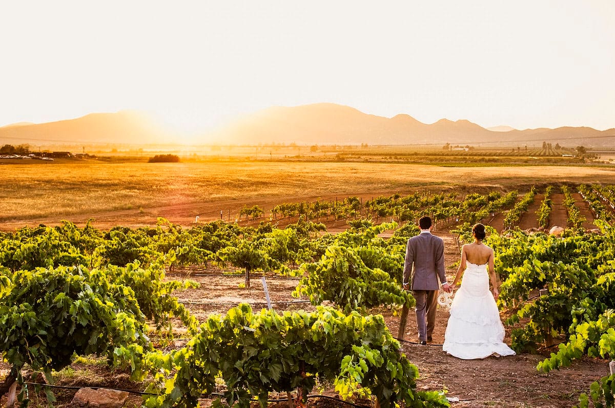 Romantic Vineyard Weddings at Viña de Liceaga