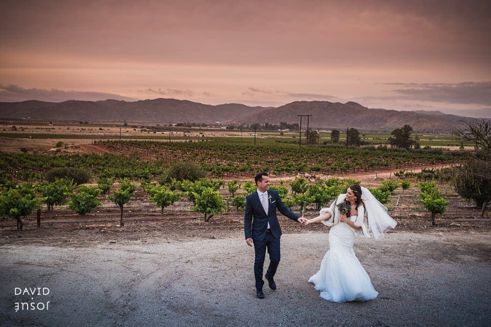 working vine rows that frame the body cleanly in any wide composition | open Valle de Guadalupe landscape with rolling horizon behind the property | rural property character — the photograph reads authentic rather than styled