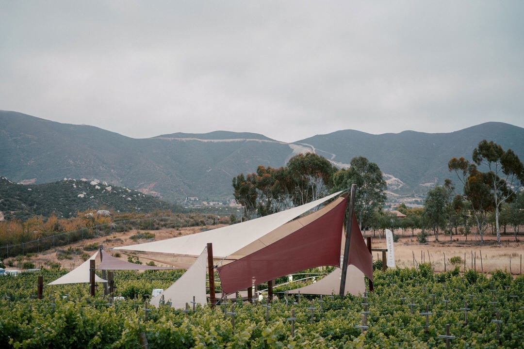 Discover the Top 5 Wedding Venues in Valle de Guadalupe, Mexico for Stunning Micro Weddings