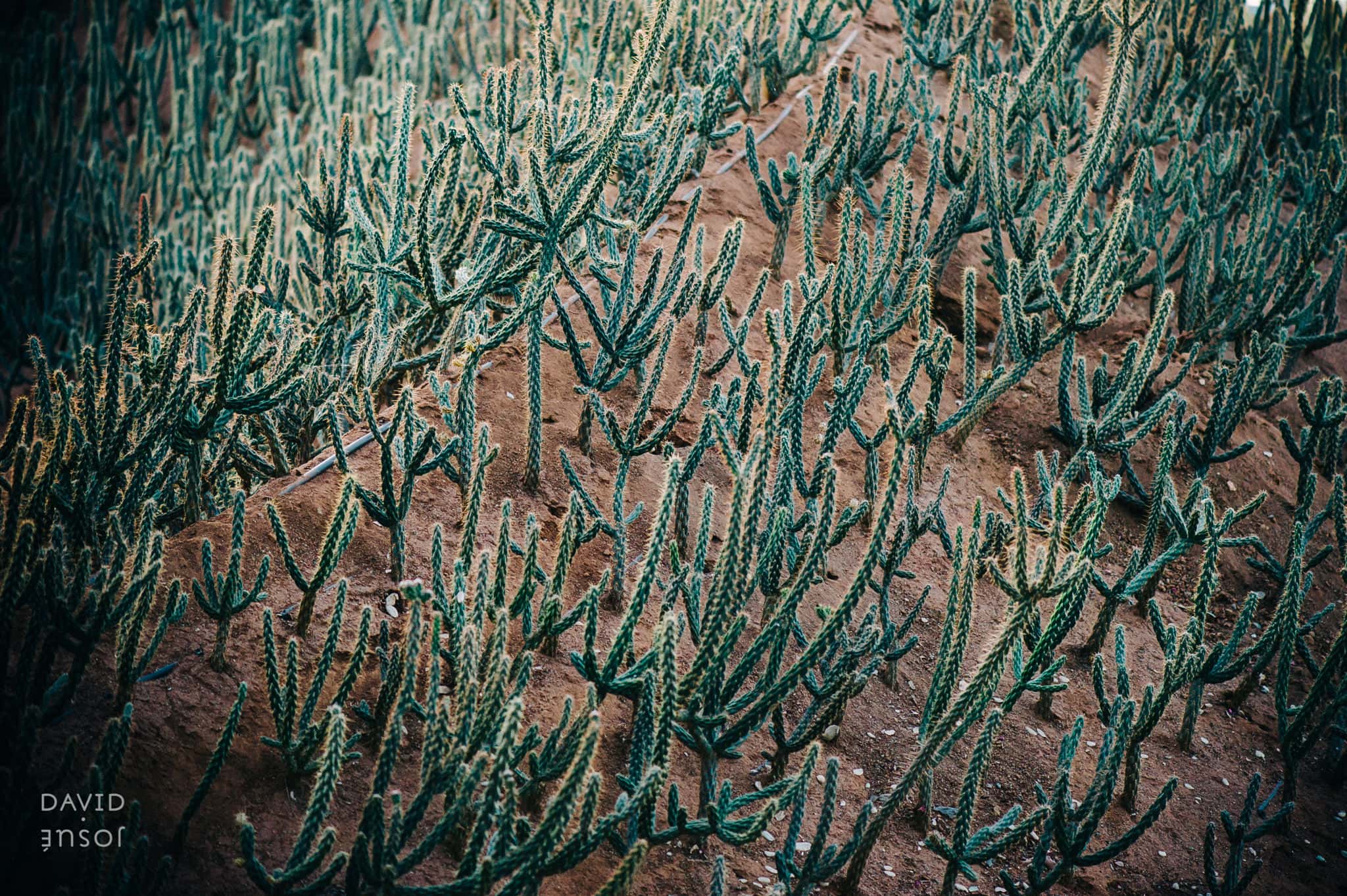the archive returns the day — the morning light through the house, the moment your partner saw you walk out, the vineyard at dusk
