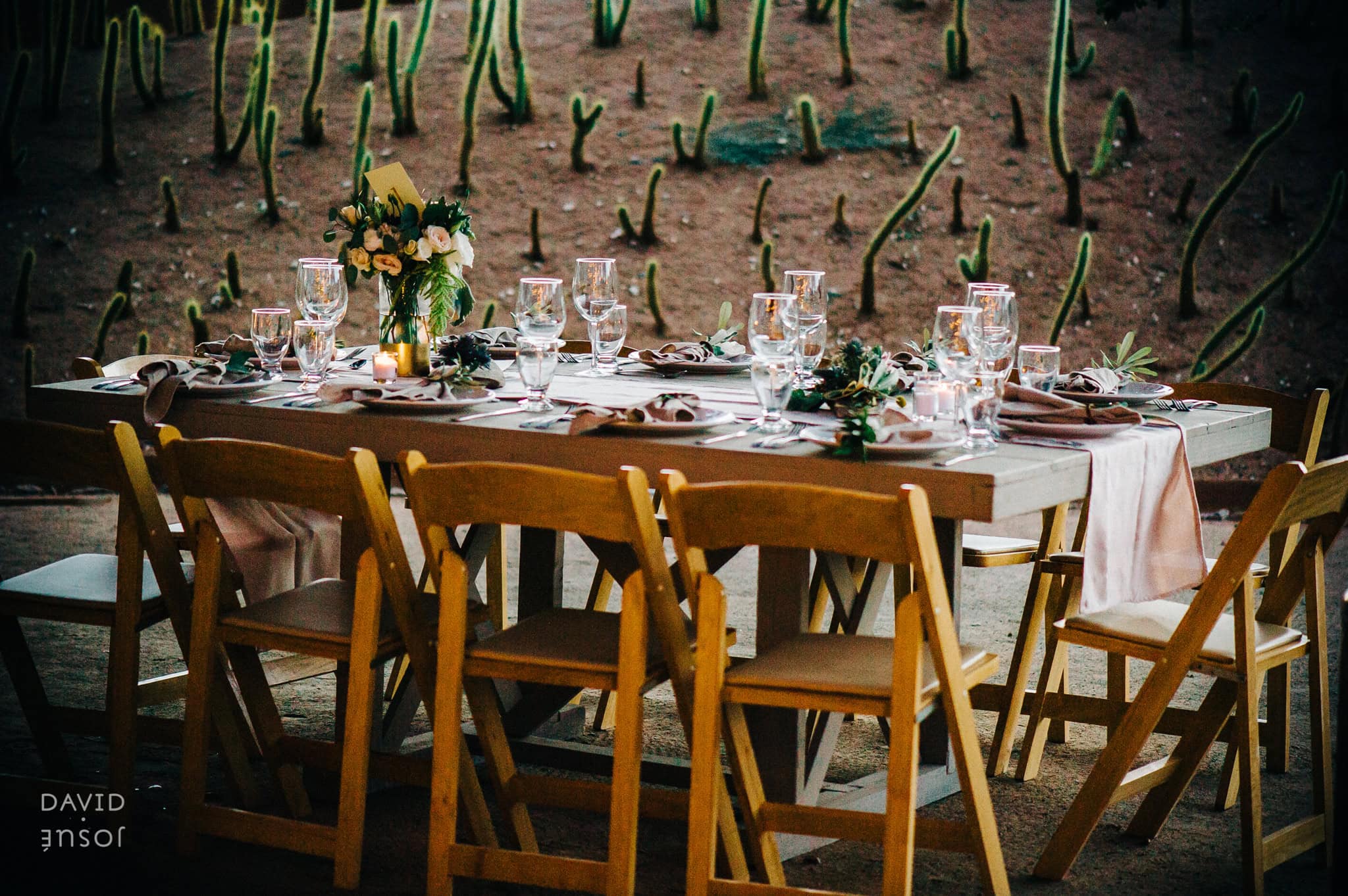 house exterior during the morning — soft, indirect light for getting-ready portraits | the surrounding vineyard for the ceremony and couple portraits at the final hour | interior dining space for the dinner frame — verify exact layout against venue