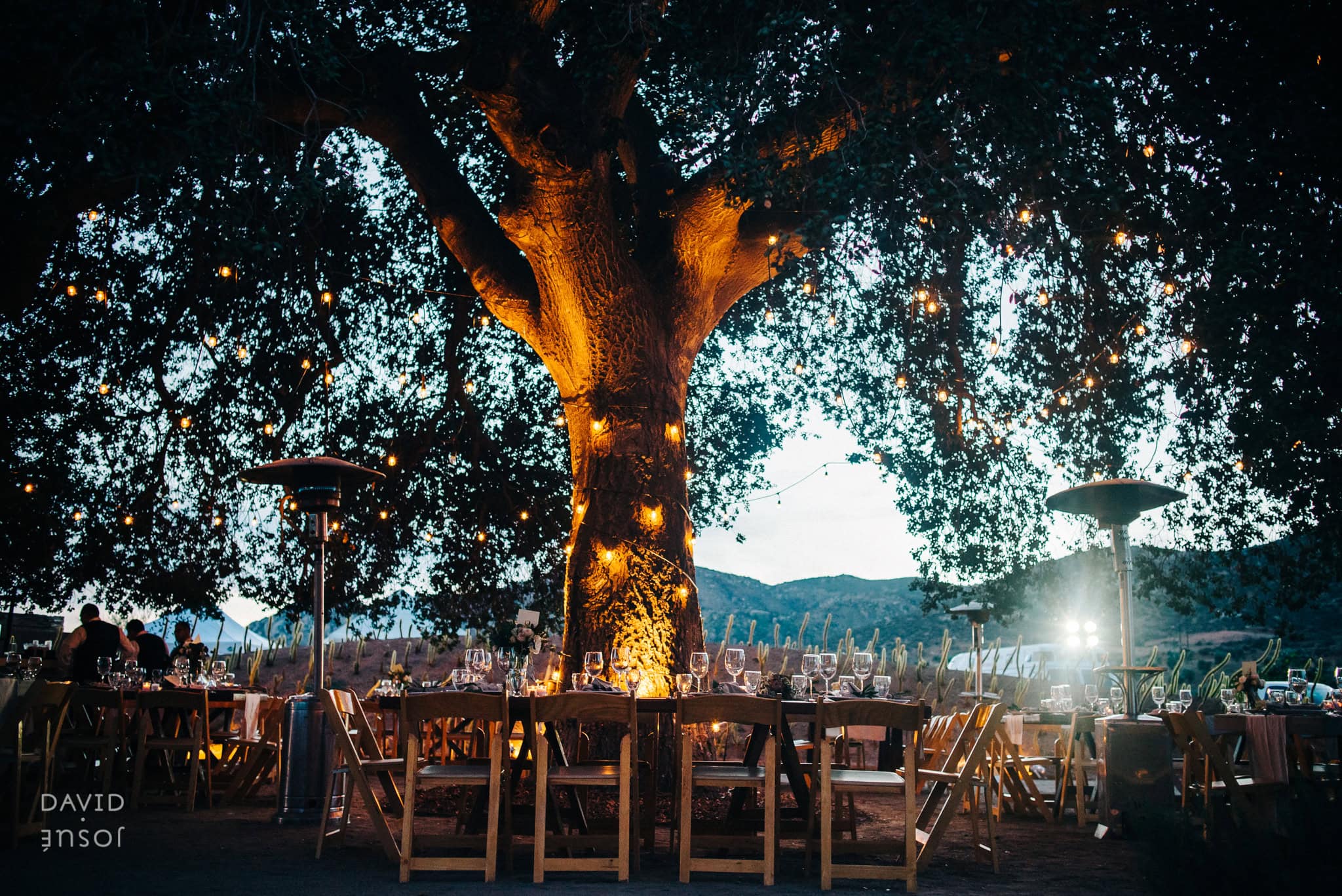 open-air dining geometry gives the camera natural composition options | vineyard surroundings deliver receding-line geometry during golden hour | BRUMA's modern minimalist architecture provides clean rectilinear backdrops
