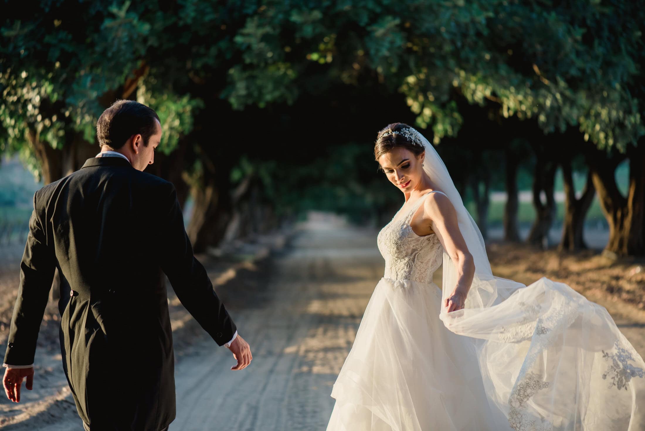 Valle de Guadalupe vs USA Wedding Costs — A Photographer's Guide for 2026