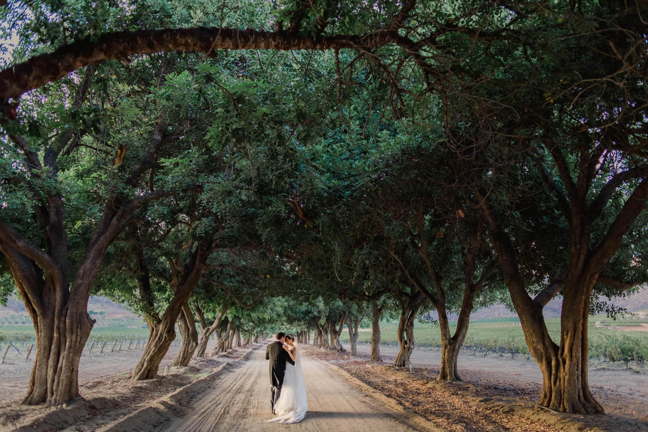 engagement-photo outfits are not about fashion — they're about how the camera reads two bodies together in a single frame | matching outfits don't mean identical — they mean tonally coherent against the location | solid tones beat busy patterns in any setting; complementary palettes beat literal matching
