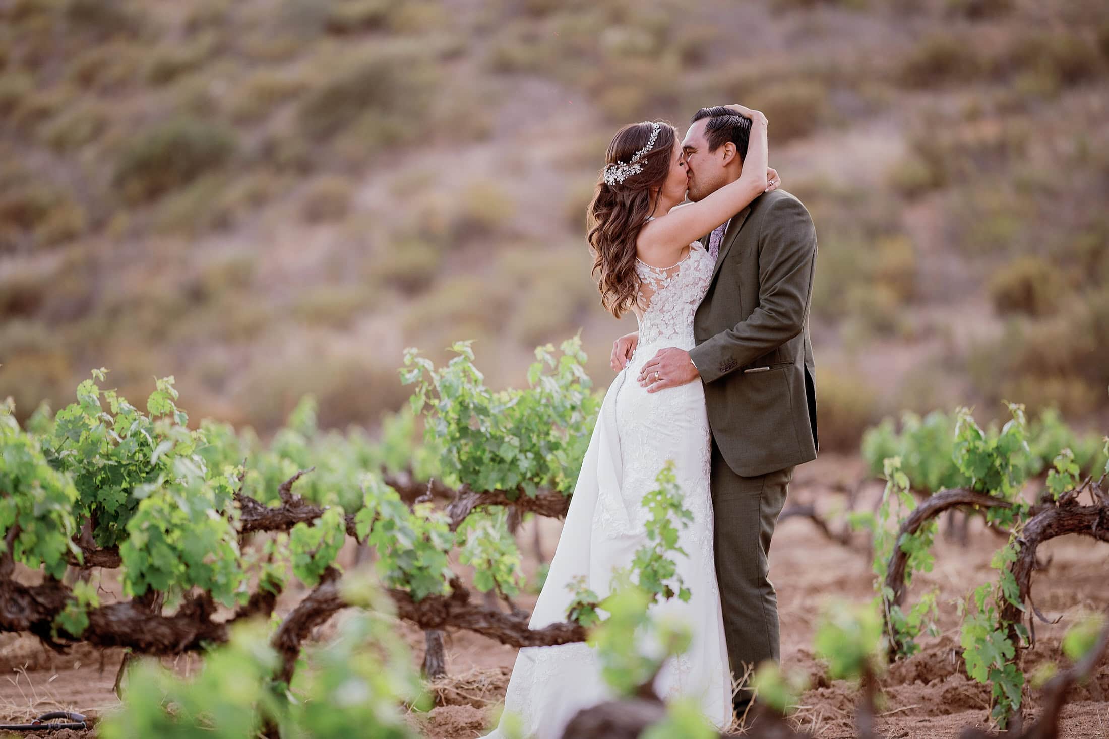 Bride and groom embracing in the vineyard, Valle de Guadalupe — David Josué Photography