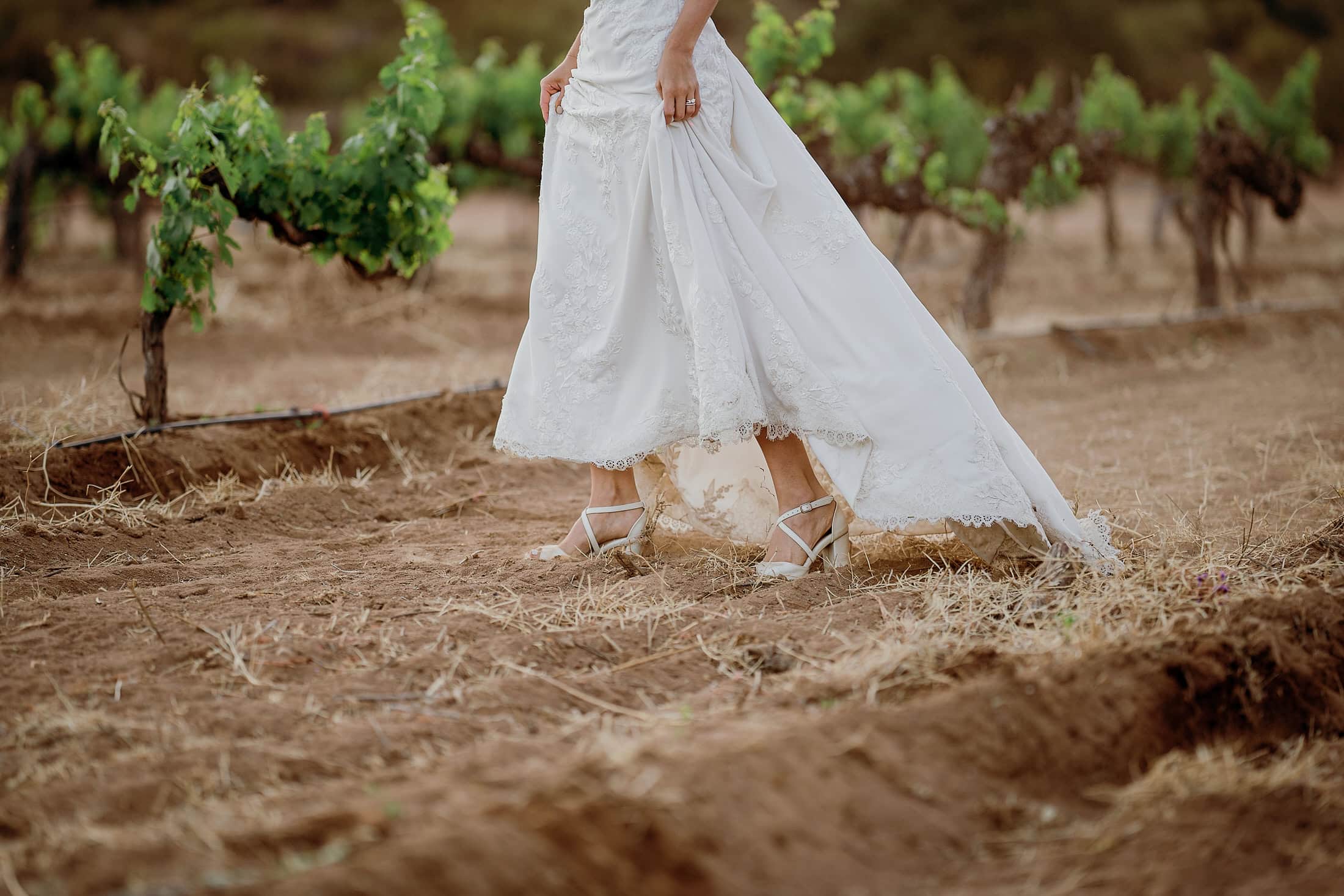 the archive returns the day — the vines at golden hour, the warm architectural surfaces, your partner standing in the working winery