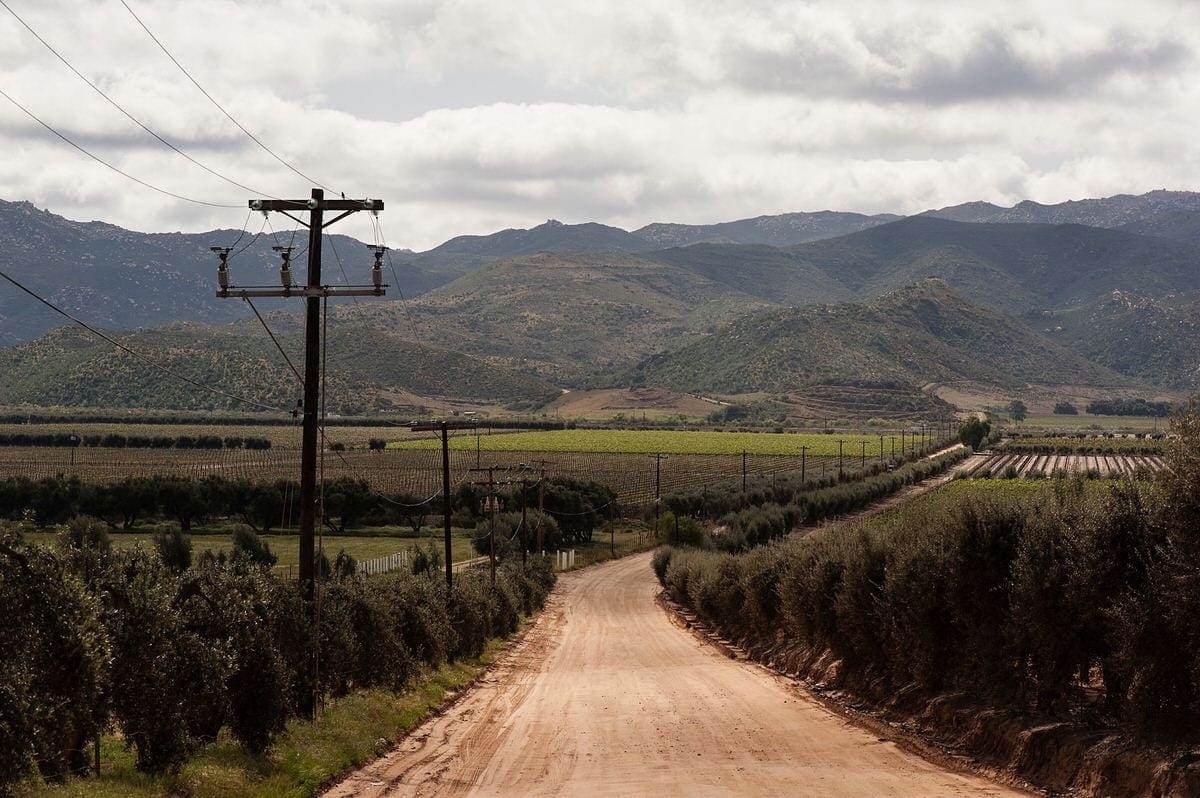 Lechuza Vineyard is a working winery in Valle de Guadalupe wine country | couples search 'lechuza vineyard' when researching the property for their celebration | the property combines working vines with rural landscape and open horizon