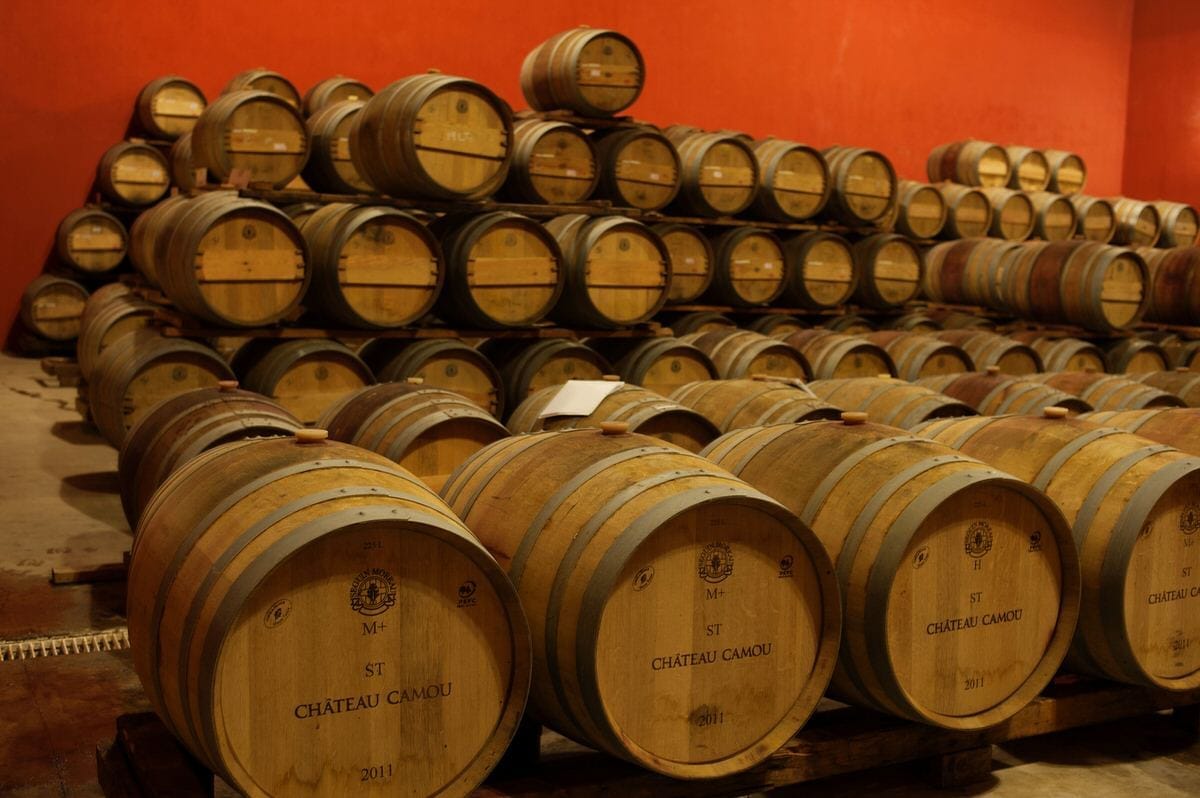 Discovering Elegance Among the Vines at Chateau Camou