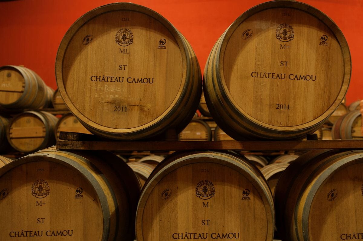 Château Camou — French-inspired winery property in Valle de Guadalupe wine country | the property combines French wine-country architecture with working vineyards | couples search 'chateau camou valle de guadalupe' when researching the property as a wedding venue