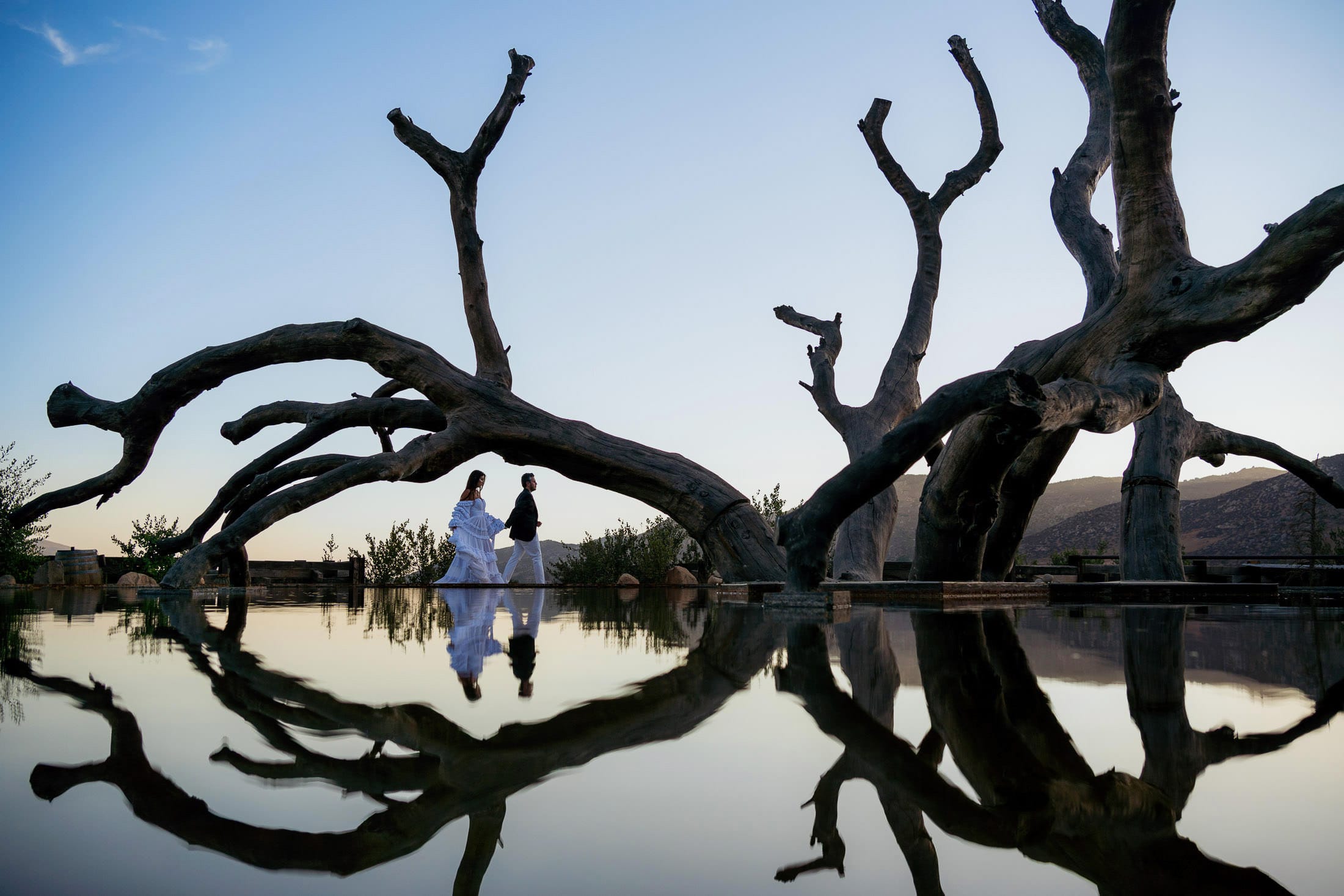 Wedding couple at Bruma, Valle de Guadalupe — David Josué Photography