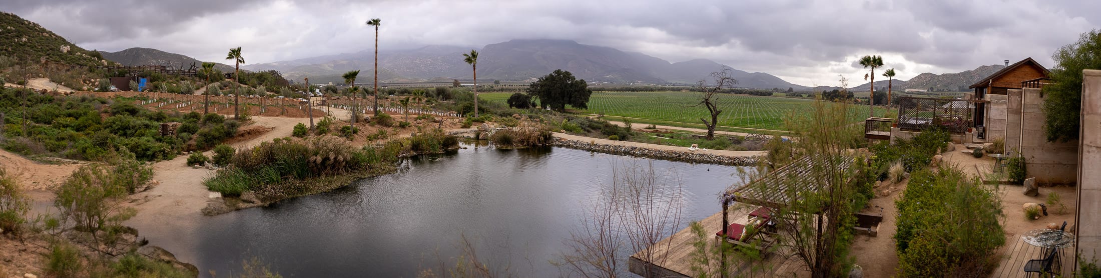 Bruma Valle de Guadalupe Wedding Guide | Expert Photography & Planning