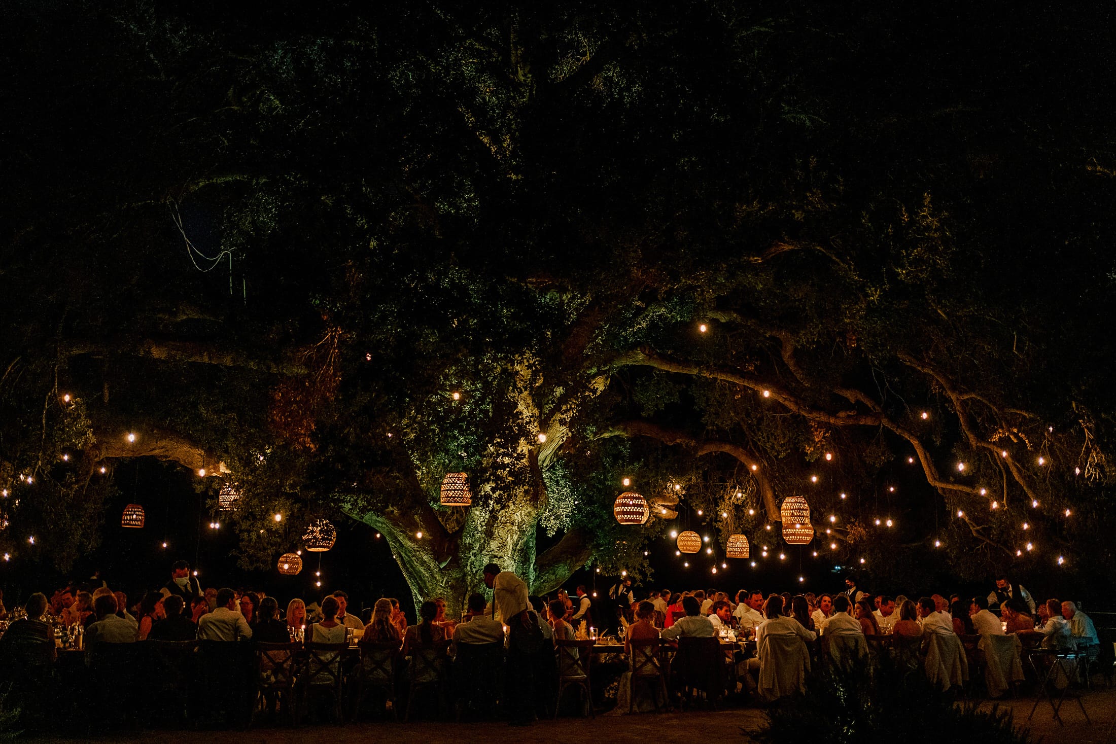 Casa 8 at Bruma under the oak tree at night — Valle de Guadalupe